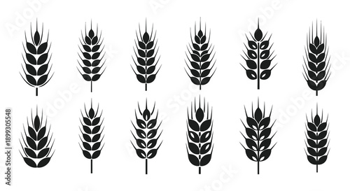 A collection of black wheat stalks and ears arranged in a grid pattern on transparent background silhouette high quality professional detailed