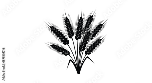A detailed illustration of wheat stalks and leaves in a striking black silhouette on transparent background high quality professional modern elegant