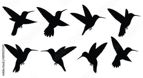 A collection of eight black hummingbird silhouettes in various flight poses on transparent background high quality professional detailed modern elegant stylish
