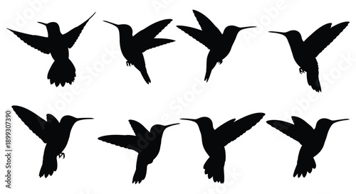 A collection of seven black hummingbird silhouettes in various flight poses on transparent background high quality professional detailed modern elegant stylish