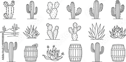 Desert Cacti Agave and Barrels Line Art Collection cactus yucca