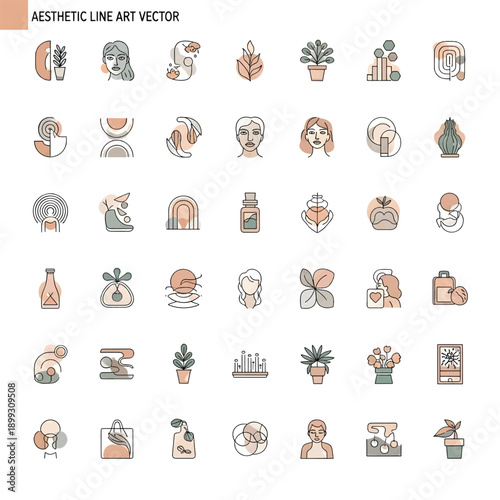 Aesthetic Concept Representing Beauty, Style, and Visual Harmony