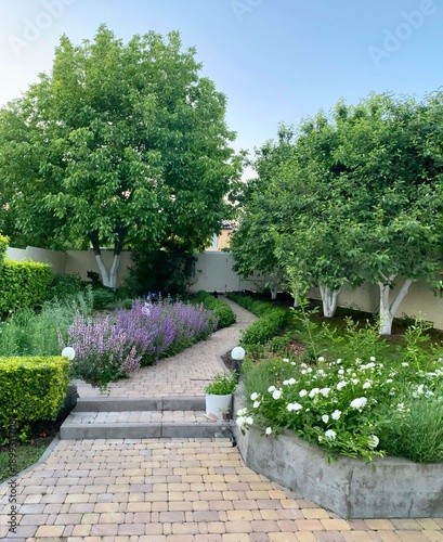 Lovely corner garden in the backyard of the house with a garden path and blooming roses and lavender