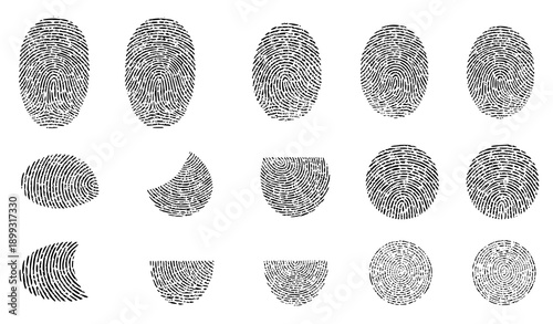 Detailed black fingerprint vector set for biometric identification forensic and security technology