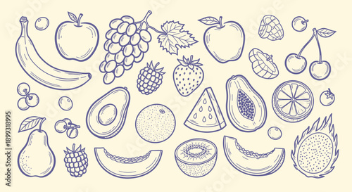 A delightful collection of hand-drawn fruits, showcasing a variety of shapes, sizes, and textures in a charming sketch style.