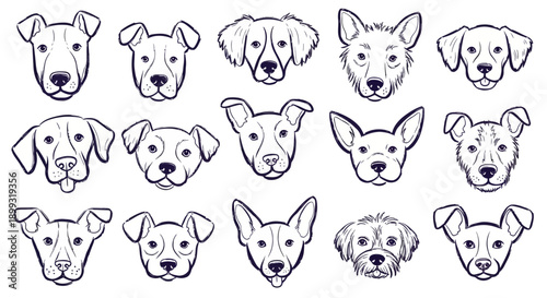 A collection of diverse dog breed head illustrations, showcasing various ear shapes, snout lengths, and facial features in a clean, artistic line drawing style.