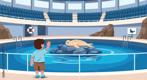 Child waving at seals resting on rocks beside ocean-style pool, showing marine animal interaction, curiosity, and joyful zoo learning experience in modern flat vector illustration