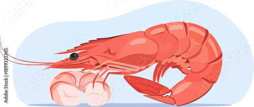 Two vibrant red crustaceans with segmented bodies and delicate antennae