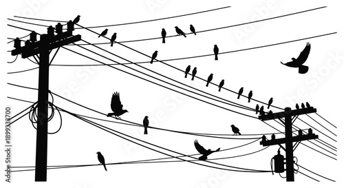 A striking black silhouette of birds flying around utility poles and wires ideal for design projects on transparent background high quality