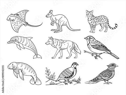 coloring page line art the animal and flower black vector bundle
