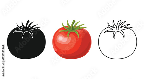 Set of three tomato icons shown in solid black silhouette, full color illustration, and simple outline drawing