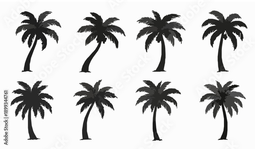 Hand drawn palm tree silhouette vector set with fruit bearing tropical palms isolated on white background for nature illustrations