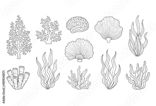 Cartoon Underwater Coral Reef Elements Collection with Seaweed and Algae Vector Isolated on White
