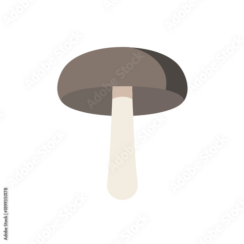 Simple mushroom illustration with a brown cap and creamy stem
