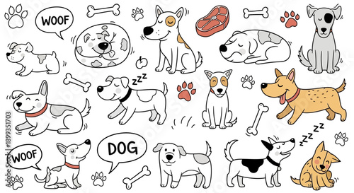 A collection of cute cartoon dogs in various poses with bones and paw prints, hand-drawn doodle style.