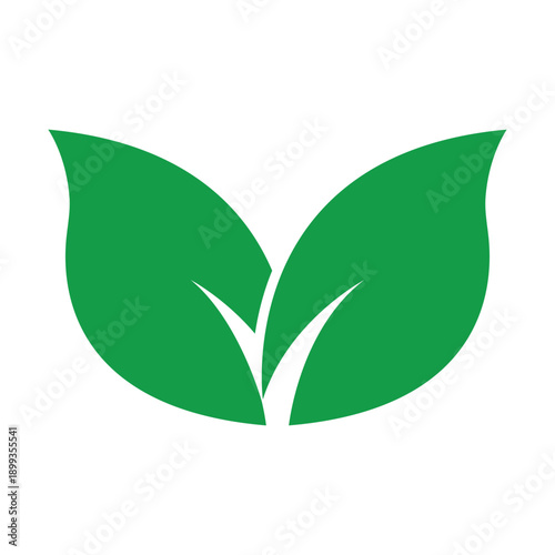 Elegant Twin Leaf Logo Design For Premium Eco Brands