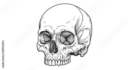 Detailed black and white illustration of a human skull with crossed bones in eye sockets.