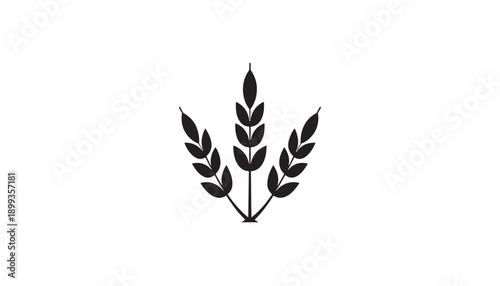 Minimalist silhouette of three wheat stalks in fan layout representing agriculture harvest and farming on white background