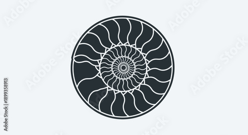 A spiral nautilus shell fossil with a natural stone pattern is isolated on a white background as a vector symbol of sea life and ancient nature