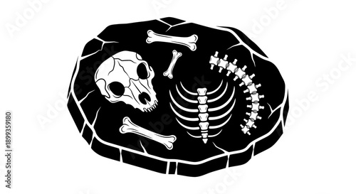 Grunge black silhouette illustration of a cat skeleton and dead fish skull with bird bone symbols in a cartoon vector pattern for a Halloween tattoo art design