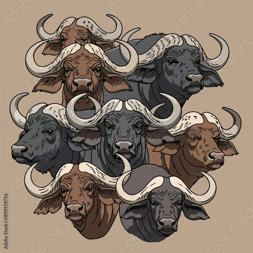Collection of various bulls with large horns on beige background