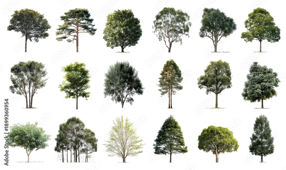 Fototapeta premium Collection of diverse tree silhouettes, various shapes and foliage (1)