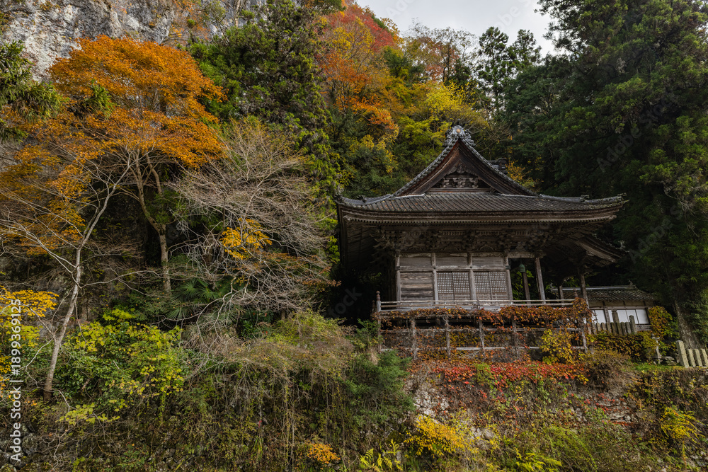 Fototapeta premium 日本 広島県庄原市東城町にある帝釈峡 上帝釈にある石雲山永明寺と紅葉した木々