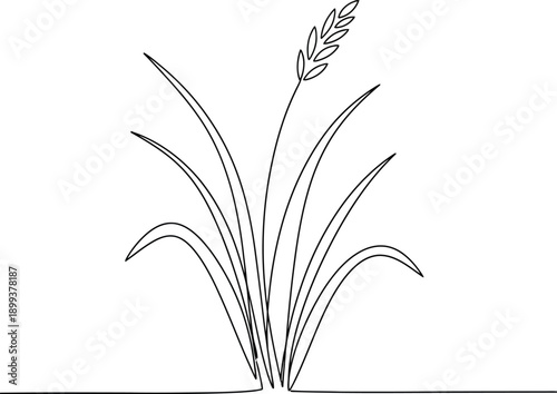 Simple line art of grass and hills
Minimal Wheat Plant Line Art Illustration