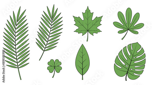 Diverse assortment of lush green leaves, showcasing various shapes and textures, including palm fronds, maple, clover, and monstera plants.