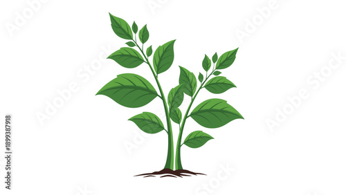 Vibrant green plant with visible roots emerging from the rich soil, symbolizing growth, new beginnings, and environmental consciousness.