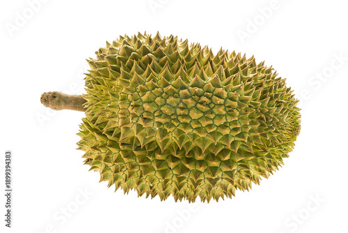 Photos Whole uncut durian no background