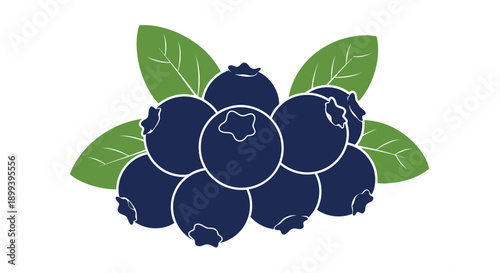 A cluster of ripe blueberries with accompanying green leaves illustrated design