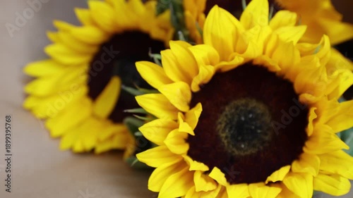 Bright Sunflowers: Close-up of Yellow Petals and Dark Centers in Natural Light, Perfect for Summer and Nature Themes