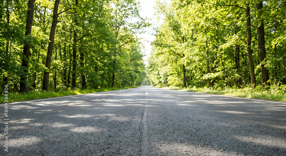 Fototapeta premium Empty road perspective leading forward surrounded by green trees, symbol of journey and future, no people, natural daylight, realistic style, commercial stock photo