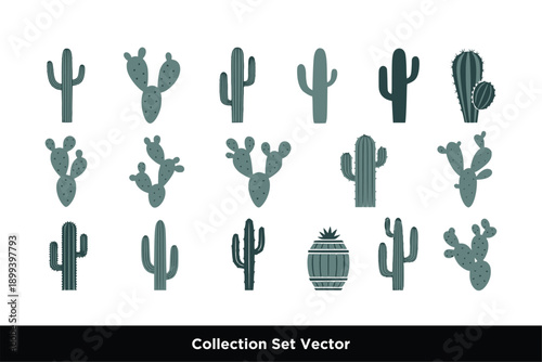 Desert Cactus Plant Silhouette Vector Collection