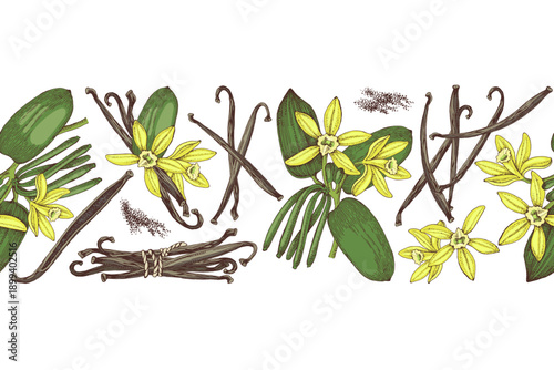 Vanilla hand drawn seamless border