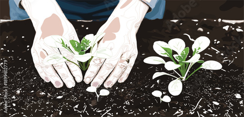 Gardener's hands planting a seedling in dark soil with other plants nearby Keywords: hands, planting, seedling, soil, gardening