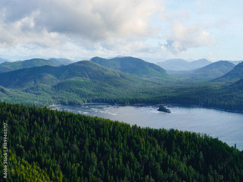 Fototapeta premium Expansive View of Pristine Wilderness on Vancouver Island Dense Evergreen Forests Meet Shimmering Waters of a Secluded Inlet Under an Atmospheric Sky