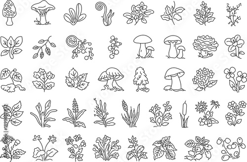 Collection of Line Art of Various Plants, Mushrooms, and Leaves Designs 