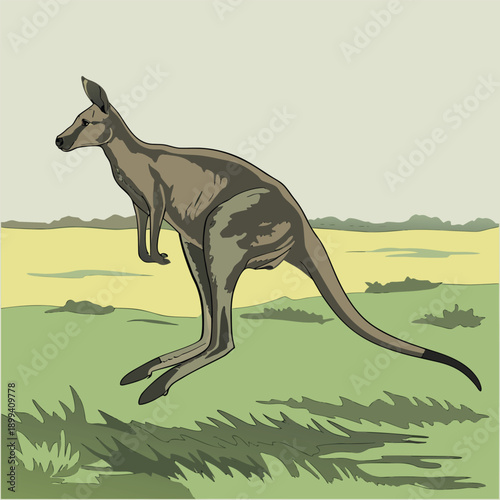 Kangaro Dancing Moment