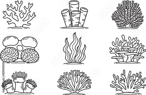 Set of coral and seaweed line art icons isolated on transparent background, vector illustration of underwater plants