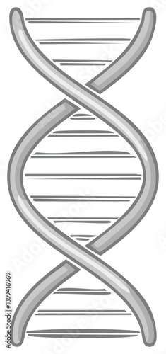Monochrome sketch of a genetic DNA double helix strand representing biology and heredity