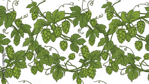 Seamless horizontal border of intertwined green hop vines with leaves and cones, hand-drawn in a vintage style for beer branding.