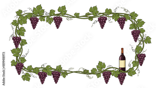 Elegant rectangular frame made of grapevines with lush green leaves and purple grapes, with a bottle of red wine in the corner.