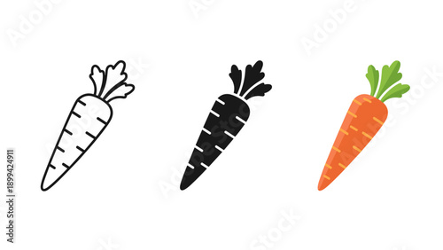 Three carrots in different colors and styles Vector