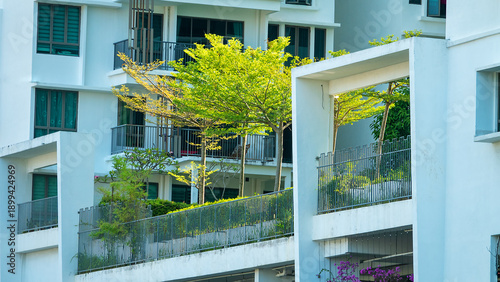 Flower beds, groves on balcony of multi-storey residential building as compensation for isolation of citizens from nature and decoration, balcony landscaping. Georgetown