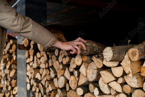 Bild auf Leinwand A man takes firewood for kindling, to heat the house in winter