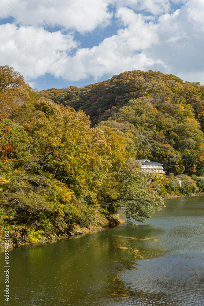 Fototapeta premium 日本 広島県庄原市東城町にある帝釈峡 ダム湖である神龍湖と紅葉した木々
