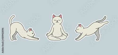 Cute White Cat Performing Yoga Poses and Meditation Exercises Set Including Downward Dog and Lotus Position for Wellness and Health