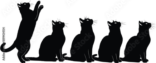 Five black cats in a row with one jumping